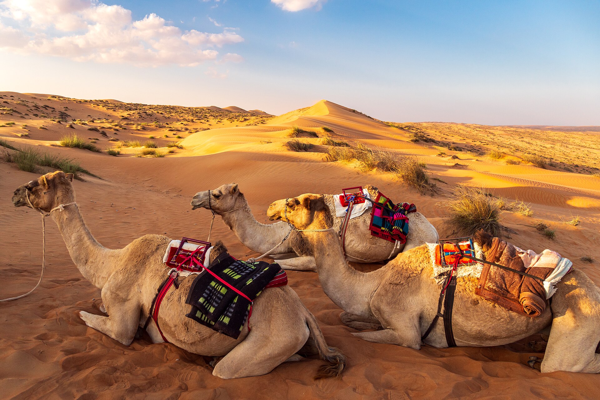 Sharqiya Sands in Oman